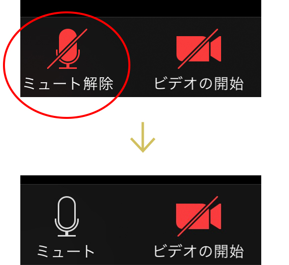 できない zoom ミュート 解除